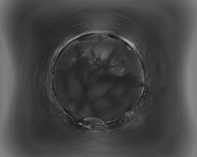 X0000086730337200704131111