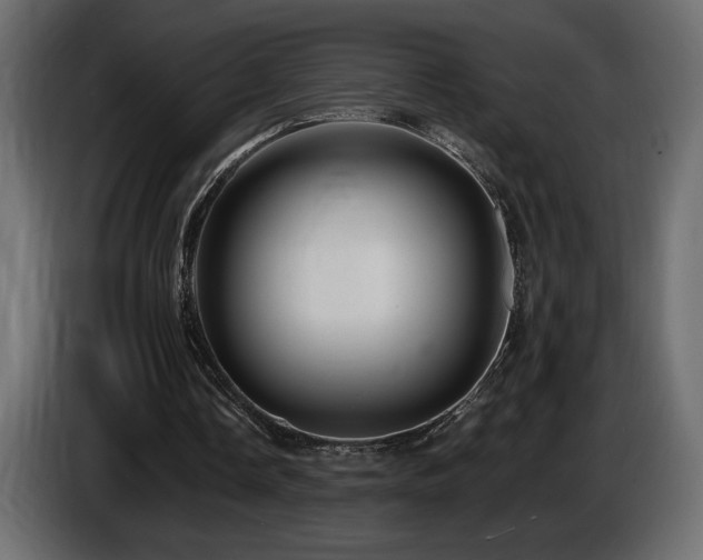 X0000086730338200704131111