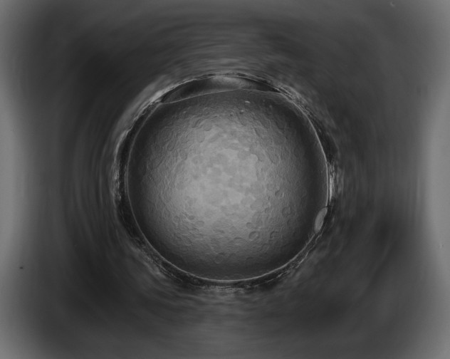 X0000086730339200704131111