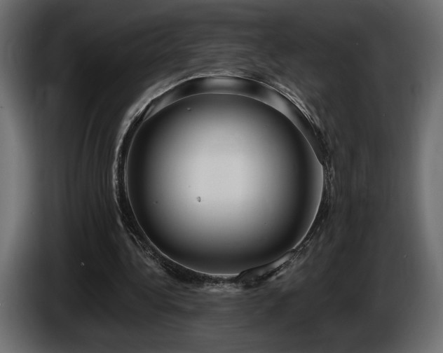 X0000086730340200704131111