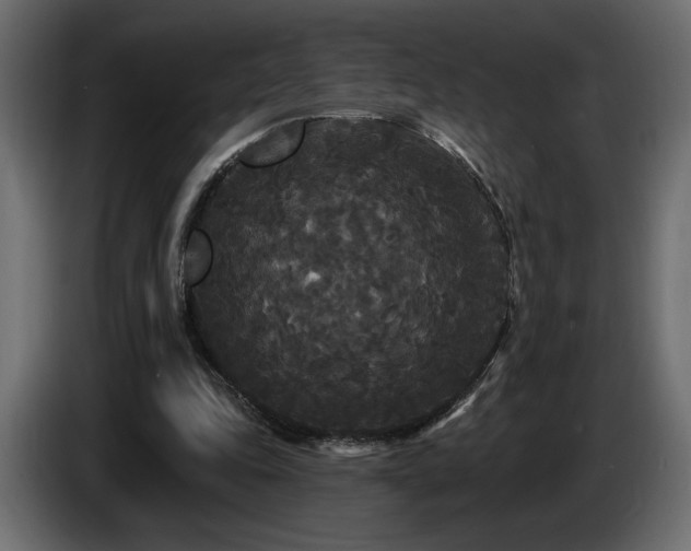 X0000086730343200704131111