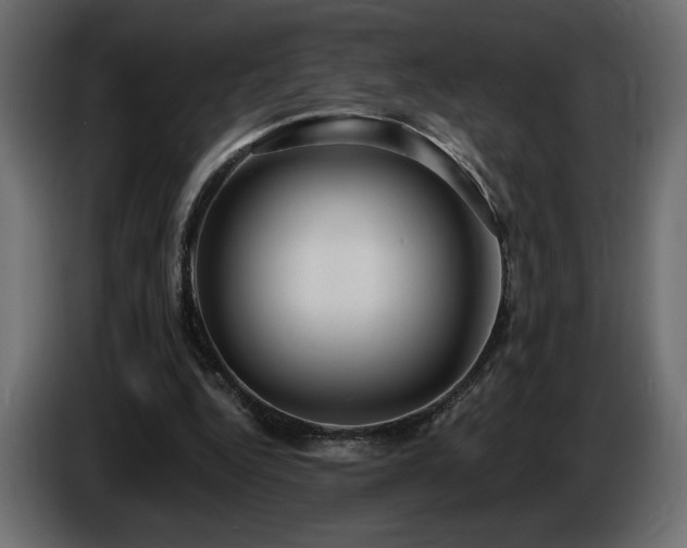 X0000086730344200704131111