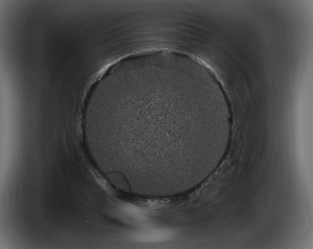 X0000086730345200704131111