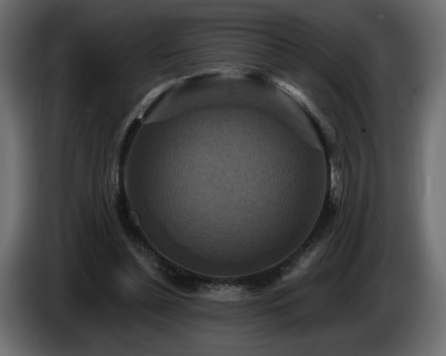 X0000086730348200704131111