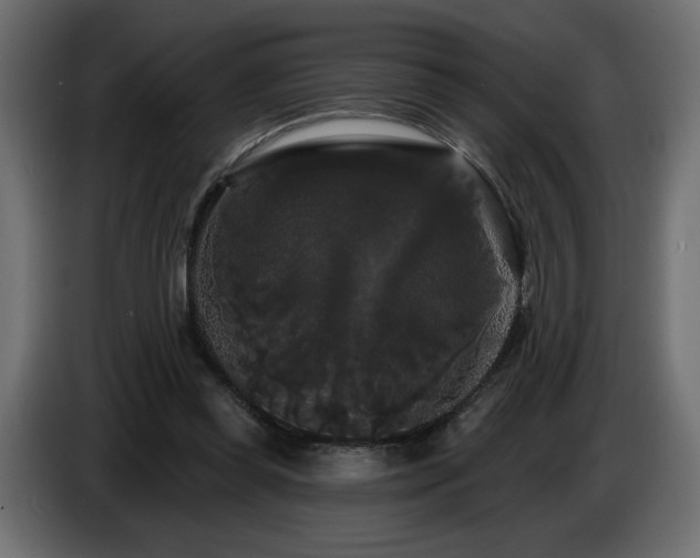 X0000086730349200704131111