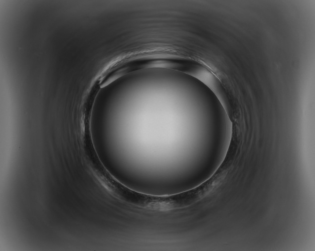 X0000086730350200704131111