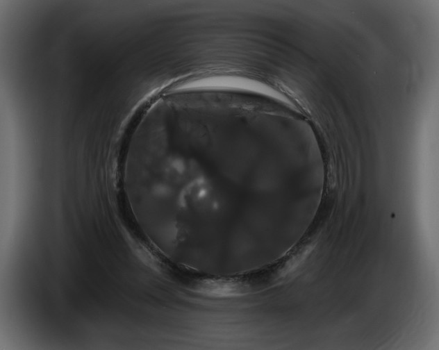 X0000086730351200704131111