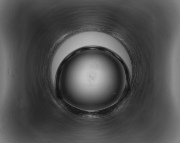 X0000086730352200704131111