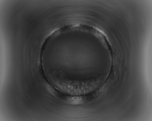 X0000086730353200704131111