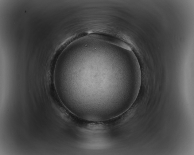 X0000086730354200704131111