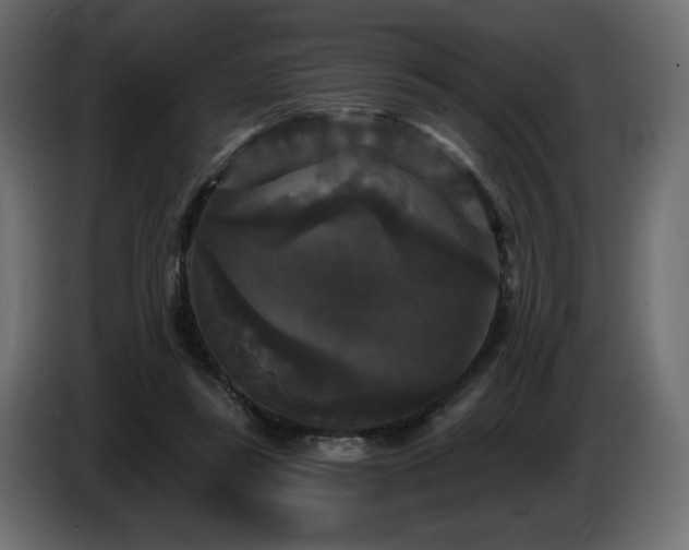 X0000086730355200704131111