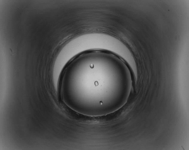 X0000086730356200704131111