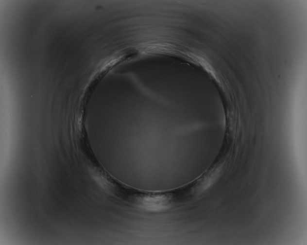 X0000086730357200704131111