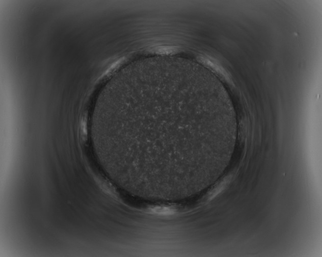 X0000086730358200704131111