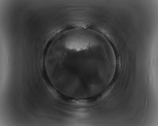 X0000086730359200704131112