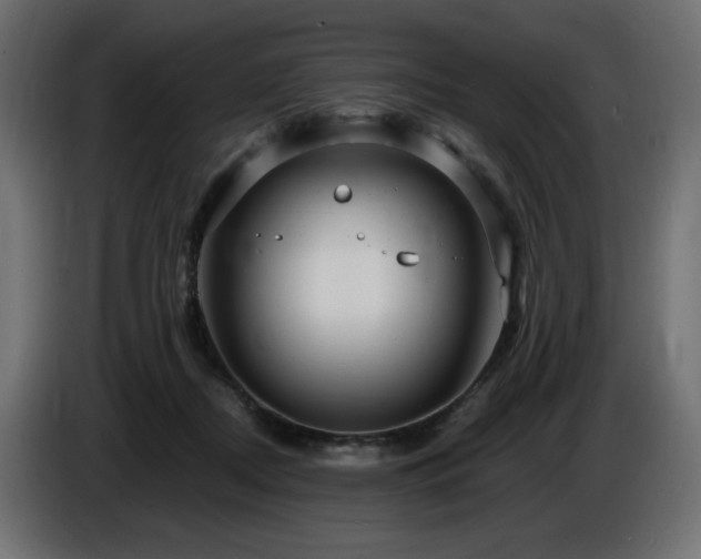 X0000086730362200704131112
