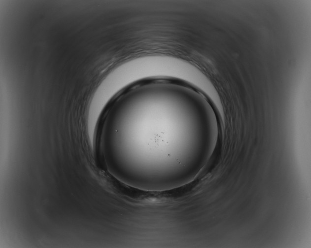 X0000086730364200704131112