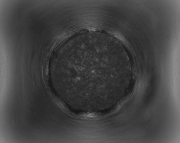 X0000086730365200704131112