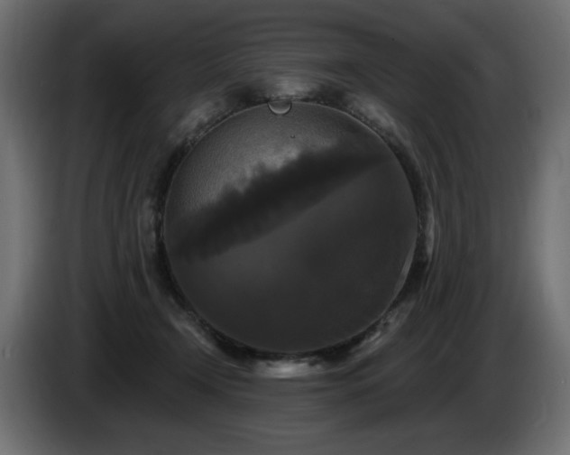X0000086730366200704131112