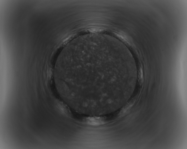 X0000086730367200704131112