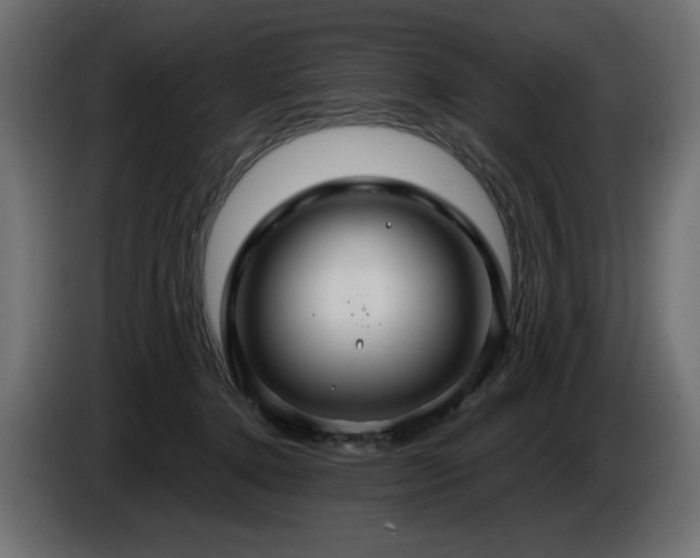 X0000086730368200704131112