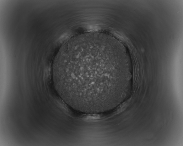 X0000086730369200704131112