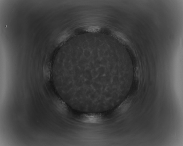 X0000086730370200704131112