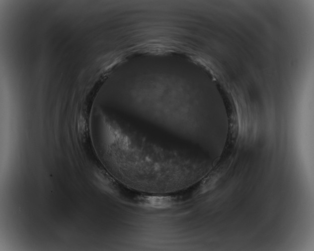 X0000086730371200704131112