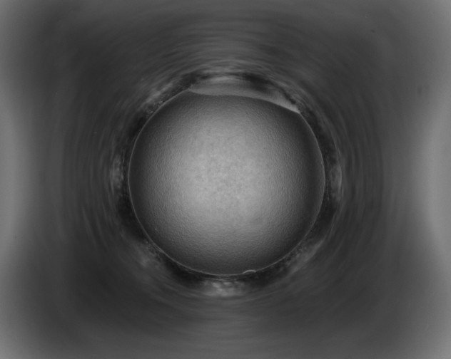 X0000086730372200704131112