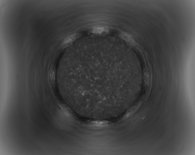 X0000086730375200704131112