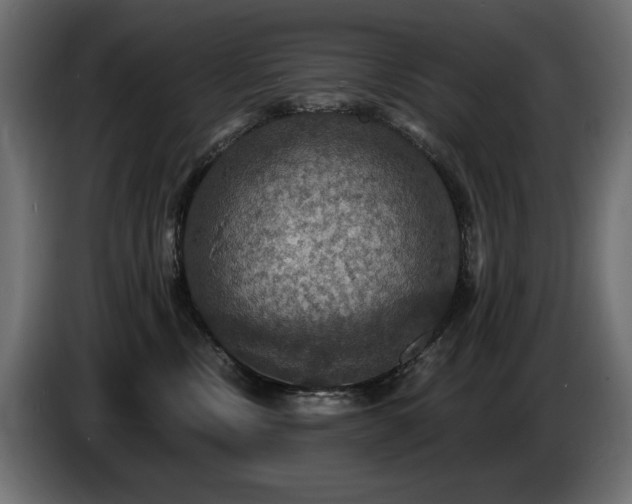 X0000086730378200704131112
