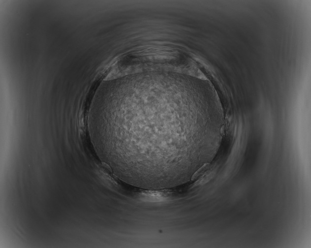 X0000086730381200704131112