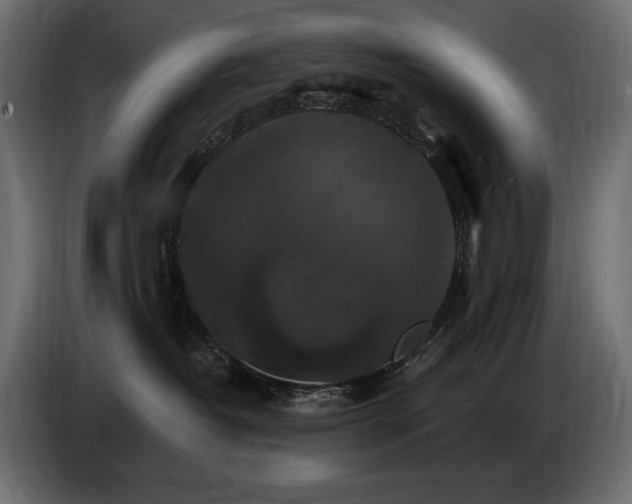 X0000086730382200704131112
