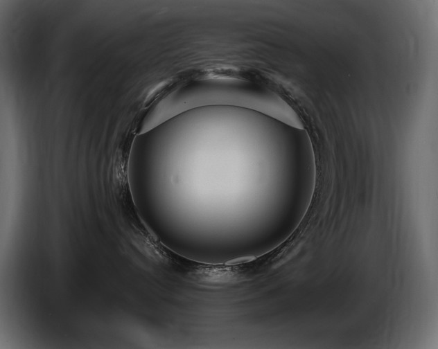 X0000086730384200704131112