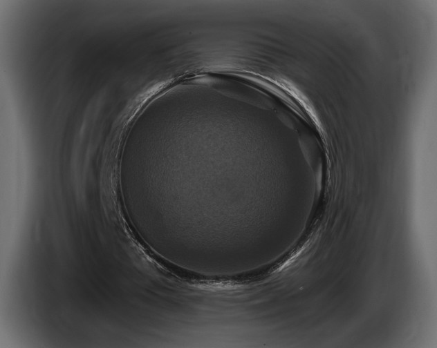 X0000086730385200704131111