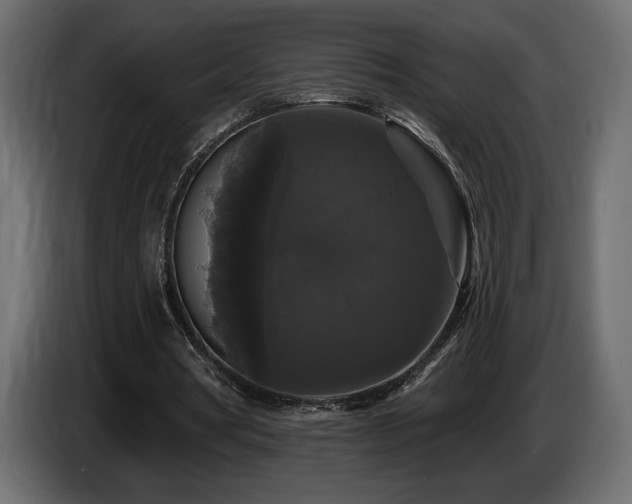 X0000086730386200704131111