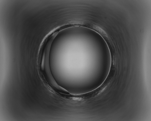 X0000086730388200704131111