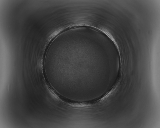 X0000086730389200704131111