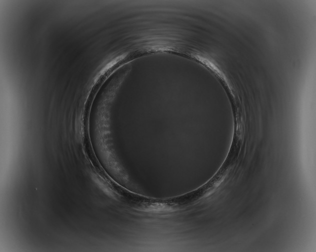 X0000086730390200704131111