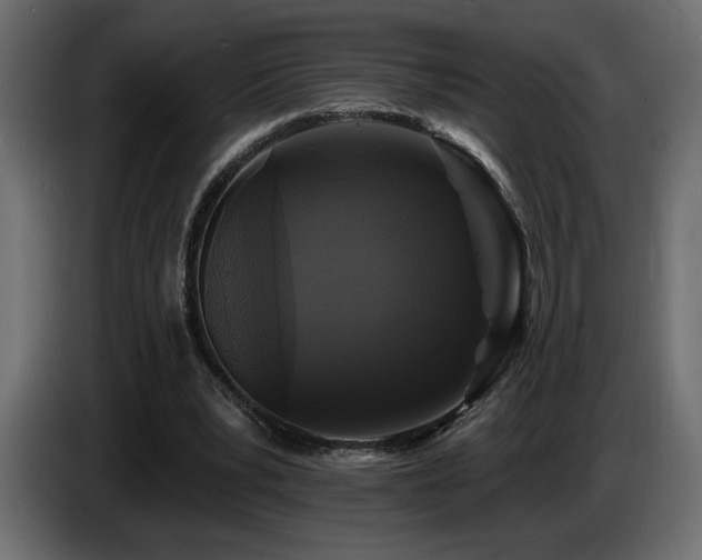 X0000086730391200704131111