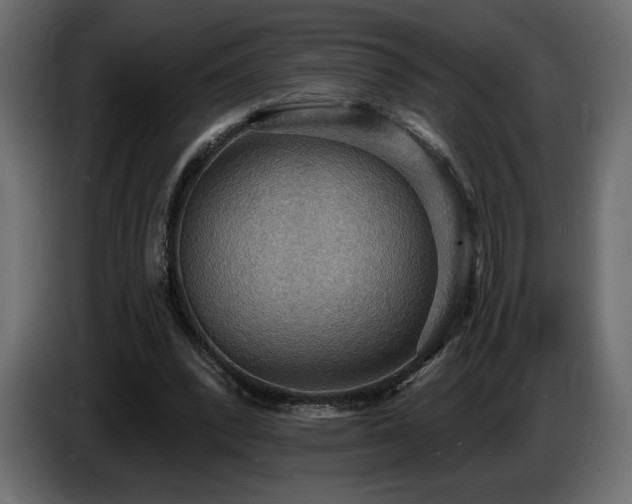 X0000086730392200704131111