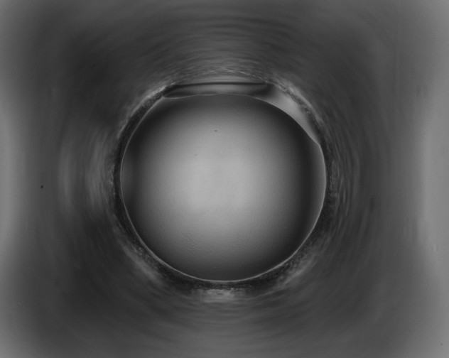 X0000086730394200704131111