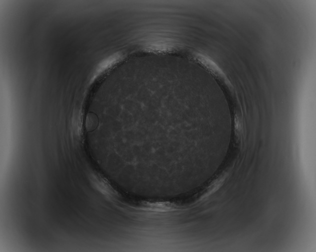 X0000086730396200704131111