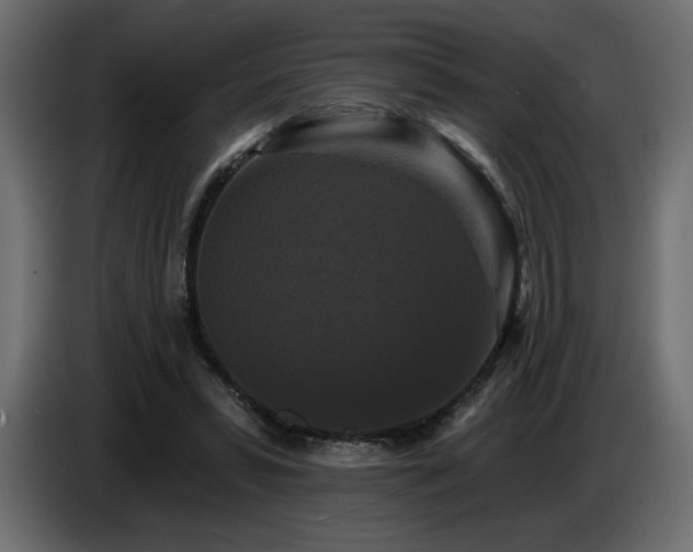 X0000086730399200704131111