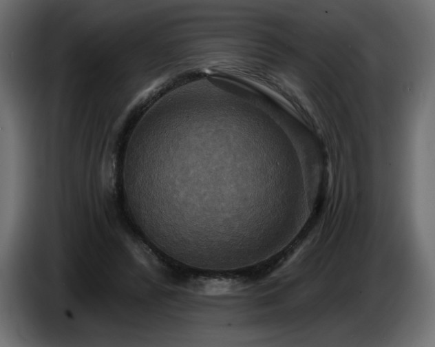X0000086730400200704131111