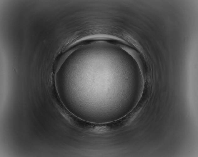 X0000086730401200704131111