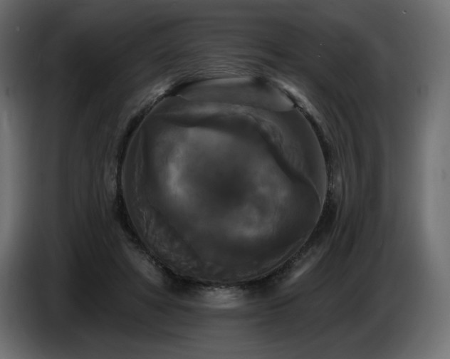 X0000086730402200704131111