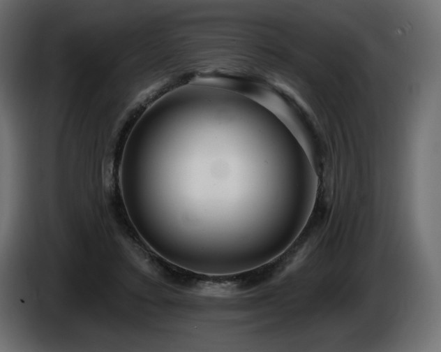X0000086730403200704131111