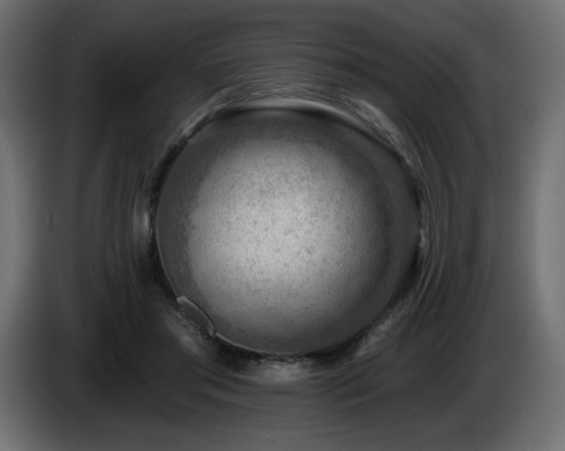 X0000086730405200704131111