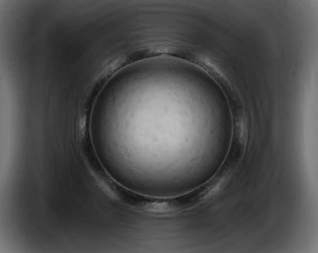 X0000086730406200704131111